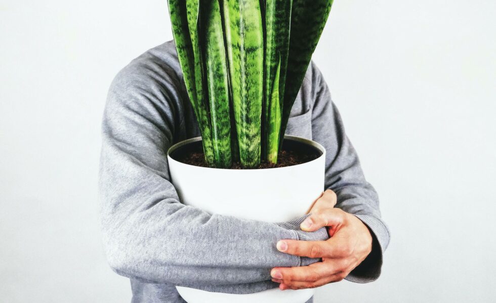 Man with plant